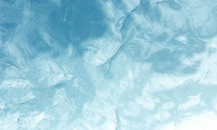 Sponsored: 13 Strangest Things Ever Discovered in Shipping Containers