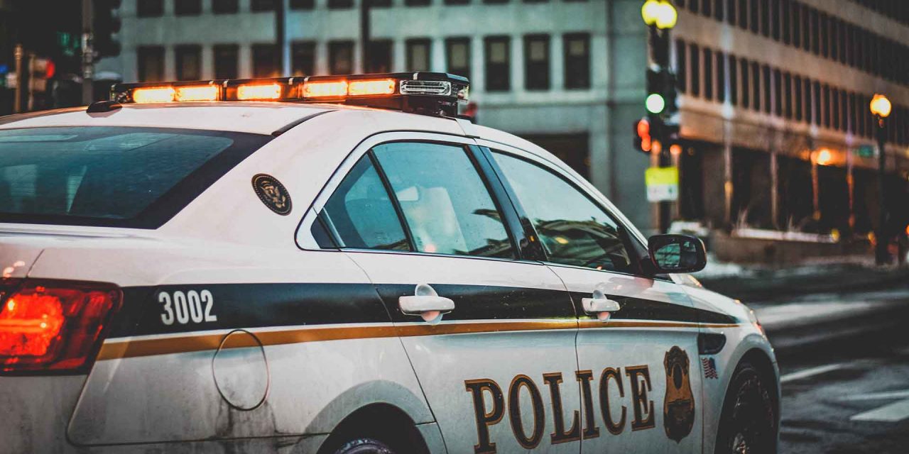 Camels Still Ideal for Crossing Desert Terrain