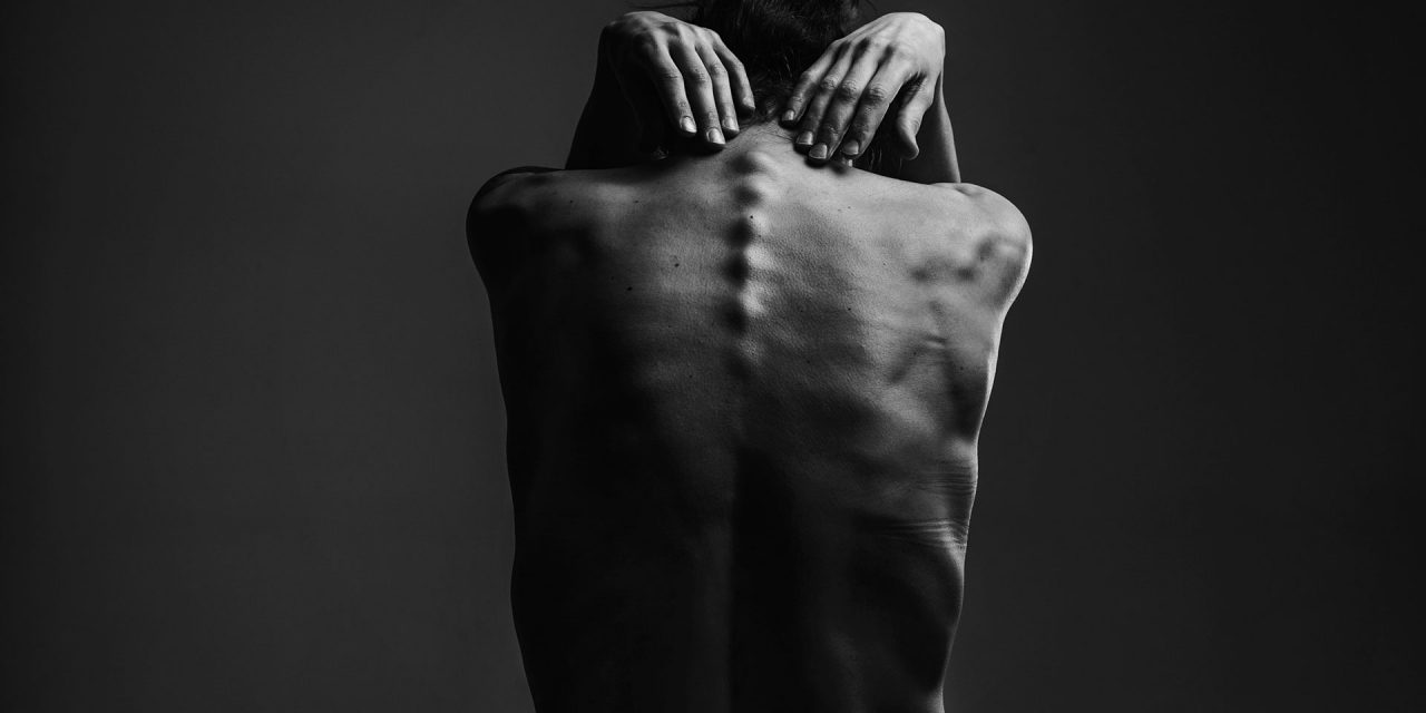 Dogs Still Universally Loved in United States