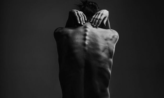 Dogs Still Universally Loved in United States