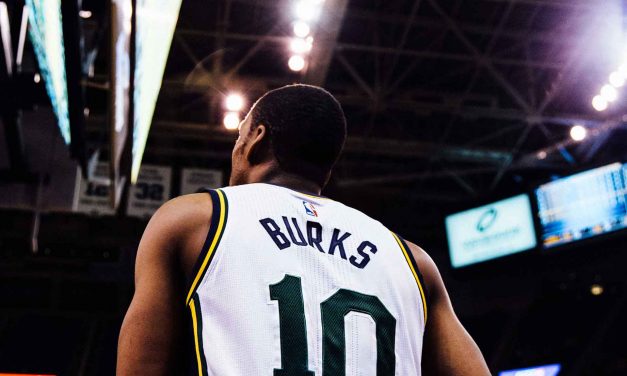 Renewable Energy Reaches Worldwide Feasibility